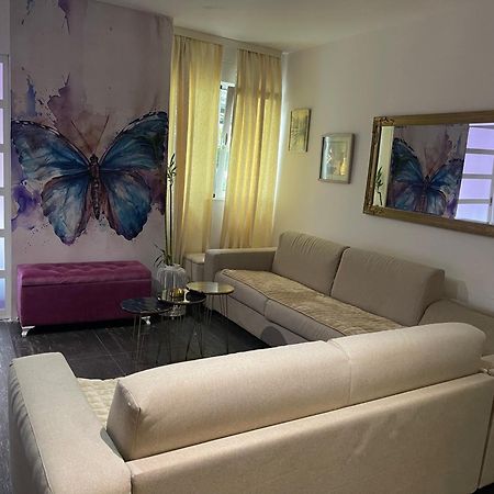Dorotea Butterfly Budva Ngoại thất bức ảnh