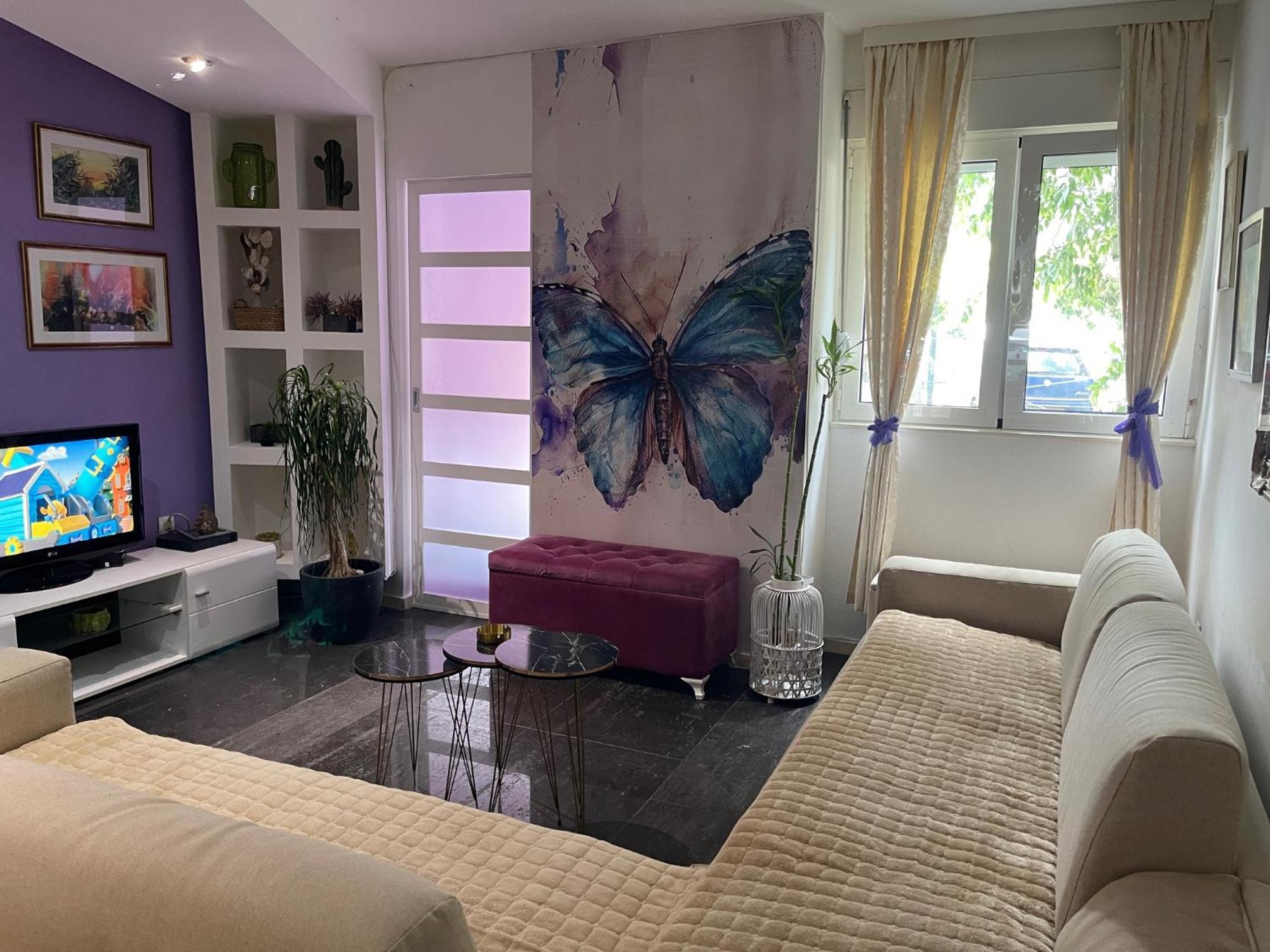 Dorotea Butterfly Budva Ngoại thất bức ảnh