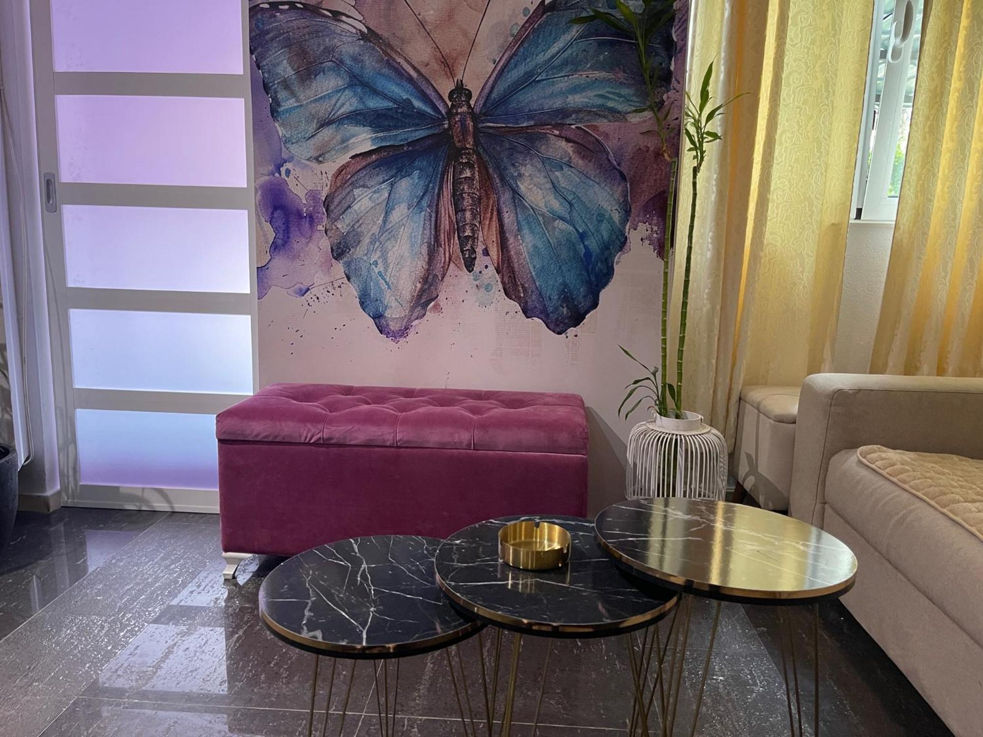 Dorotea Butterfly Apartment Budva Ngoại thất bức ảnh
